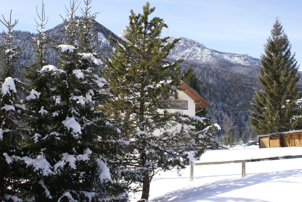 Casa Remo 3 Hotel San Vito di Cadore Buitenkant foto